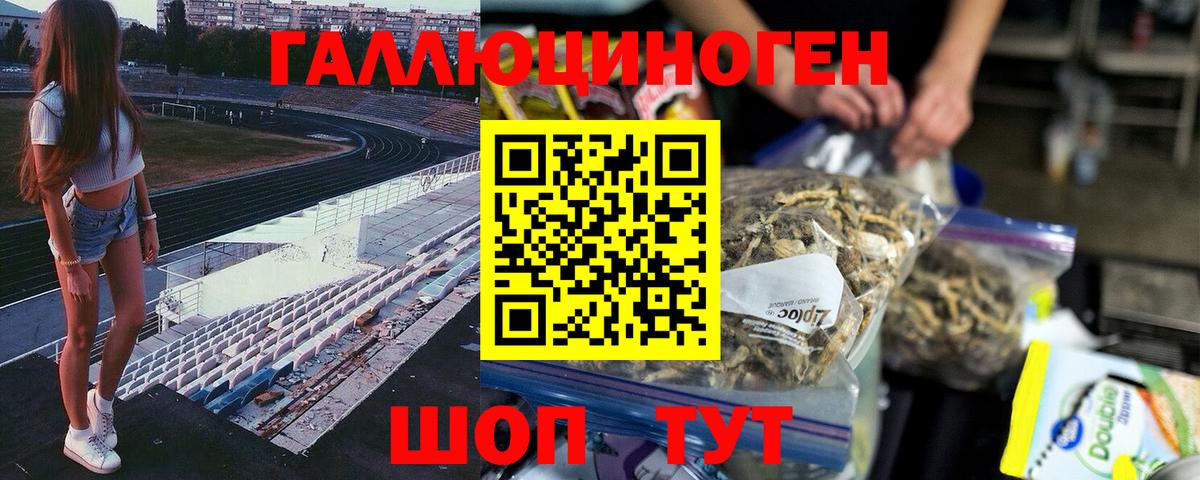 Галлюциногенные грибы GOLDEN TEACHER  Псилоцибиновые грибы GOLDEN TEACHER  Вход с VPN  Камышлов 