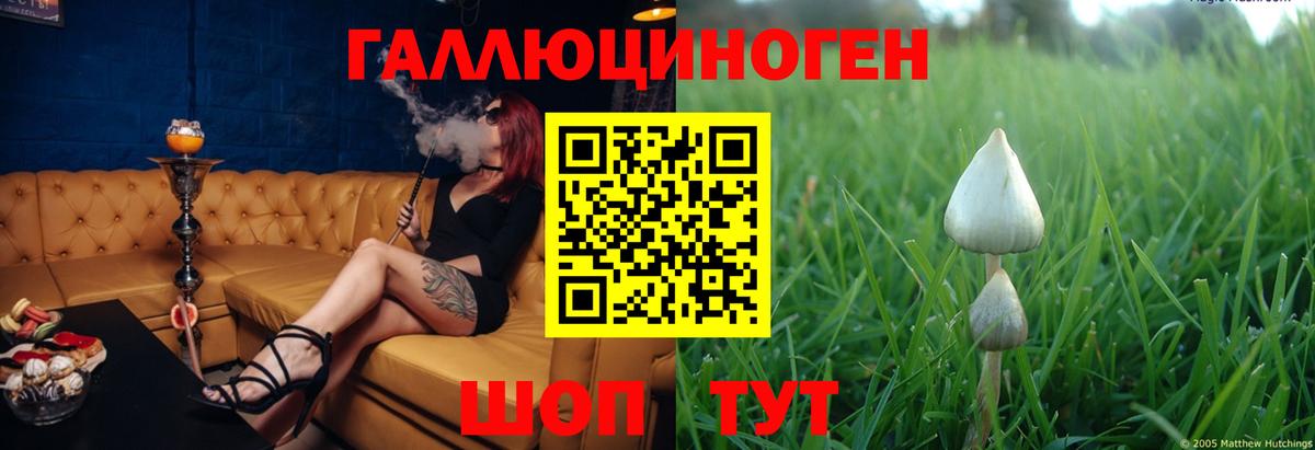 Псилоцибиновые грибы мицелий Камышлов